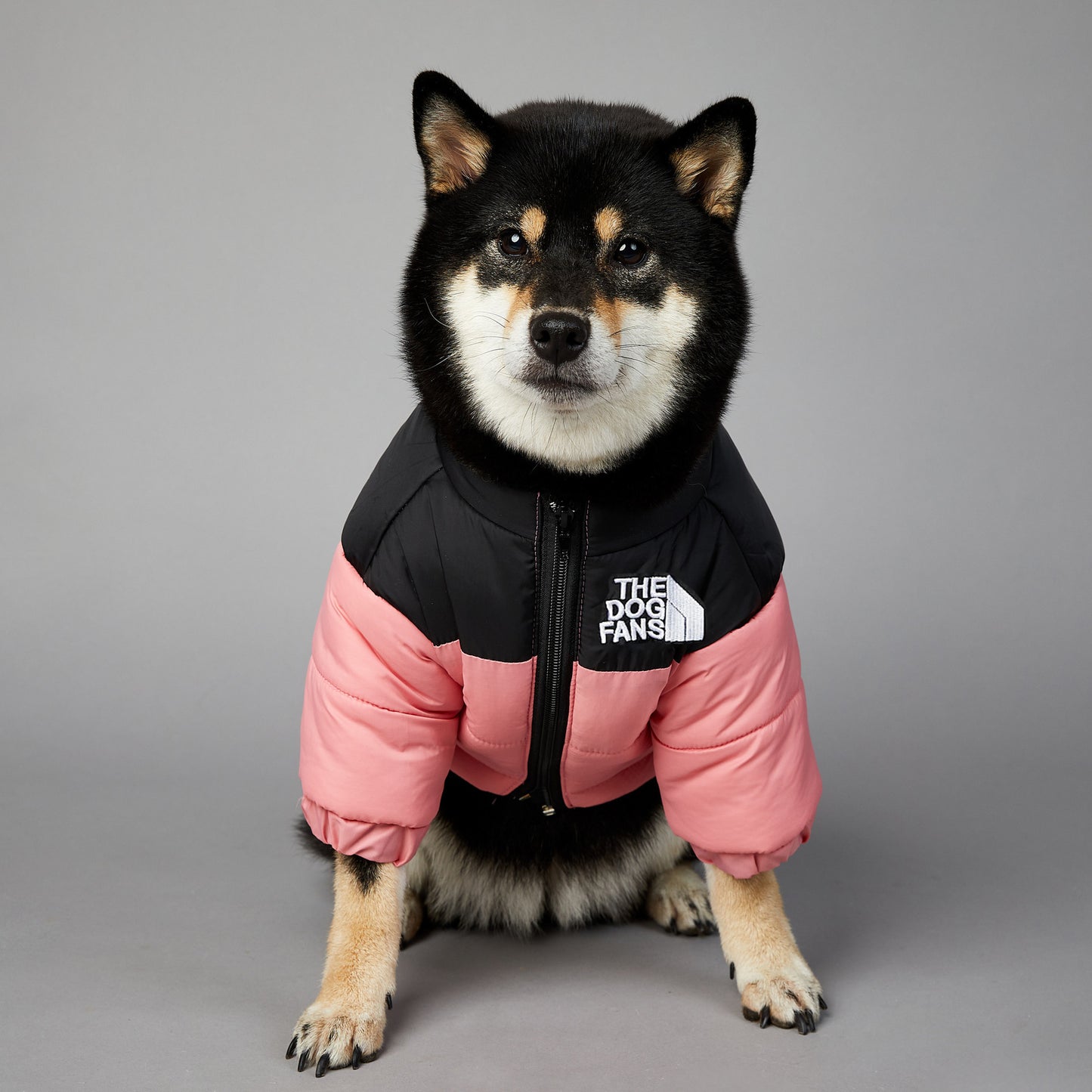 Dog Windproof And Rainproof Dog Winter Warm Pet Cotton-padded Clothes