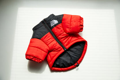 Dog Windproof And Rainproof Dog Winter Warm Pet Cotton-padded Clothes