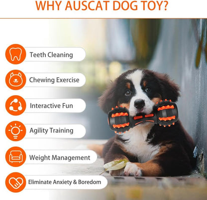 Dog Squeaky Toys For Aggressive Chewers Almost Indestructible Squeaky Toys For Dogs Teething Chew Toys For Medium Large Breed Durable Rubber Dog Toy Dumbbell Shape