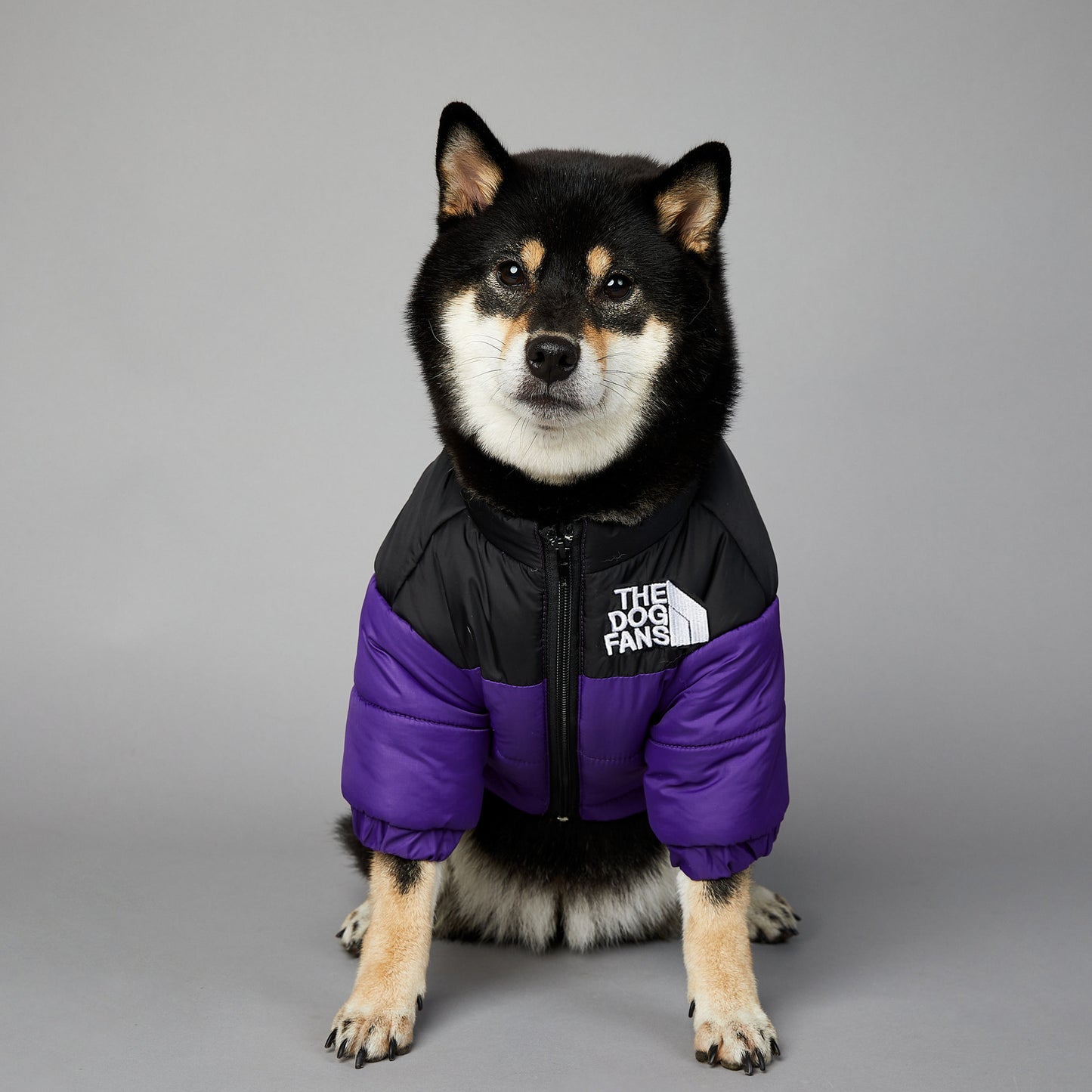 Dog Windproof And Rainproof Dog Winter Warm Pet Cotton-padded Clothes