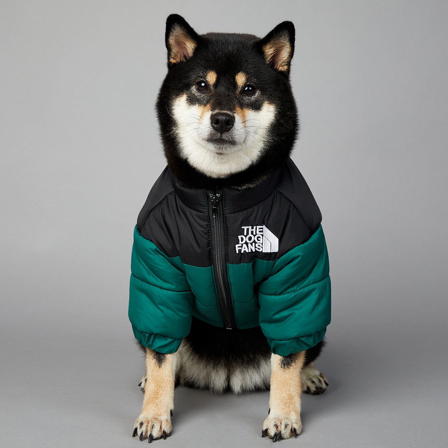 Dog Windproof And Rainproof Dog Winter Warm Pet Cotton-padded Clothes