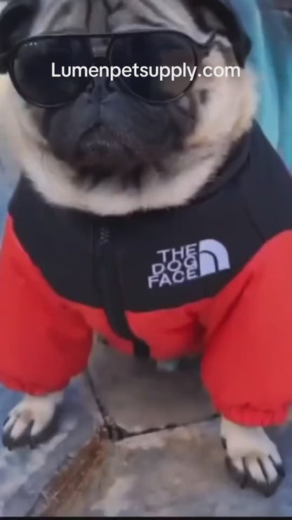 Cat North Face Warm Pet Clothes